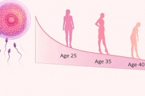 Cơ hội mang thai thay đổi thế nào theo từng độ tuổi?