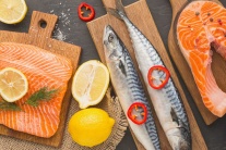 Bác sĩ chỉ ra 6 loại cá tốt cho sức khỏe tim mạch