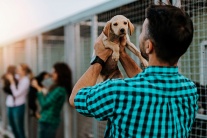 Nhận nuôi chó mèo: Trách nhiệm từ những câu hỏi nhỏ