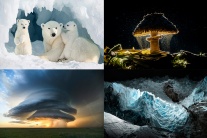 Những bức ảnh ấn tượng nhất Giải thưởng Nhiếp ảnh Sony năm 2026