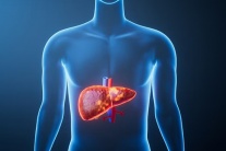 Thay đổi lối sống đơn giản có thể giúp ngừa bệnh gan