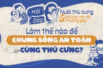 Làm thế nào để chung sống an toàn cùng thú cưng?