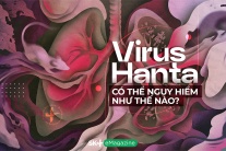 Virus Hanta có thể nguy hiểm như thế nào?