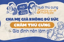 Cha mẹ già không đủ sức chăm thú cưng, gia đình nên làm gì?