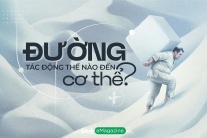 Đường tác động thế nào đến cơ thể?