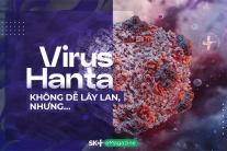 Virus Hanta không dễ lây lan, nhưng…
