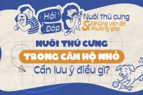 Nuôi thú cưng trong căn hộ nhỏ: Cần lưu ý điều gì?