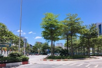 Bắc Bộ sắp có mưa giải nhiệt