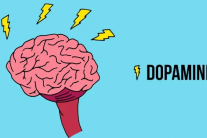 Dopamine giúp đảo ngược tình trạng Alzheimer?