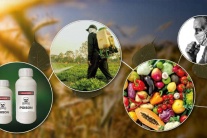 Thuốc trừ sâu có thể gây ra những ảnh hưởng gì tới sức khỏe?
