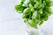 3 loại rau củ không nên cho vào tủ lạnh