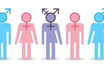 Hormone liệu có quyết định xu hướng tình dục?
