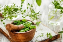 Bảo quản các loại rau thơm, gia vị phương Tây thế nào?