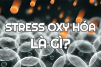 6 yếu tố làm gia tăng stress oxy hóa, tình trạng viêm trong cơ thể 