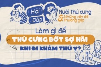 Nên làm gì để thú cưng bớt sợ hãi khi khám thú y?