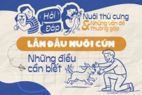 Những điều 'sen' cần biết khi lần đầu nuôi cún