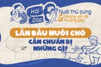 Những điều sen cần biết khi lần đầu nuôi cún