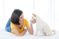 Trò chuyện với thú cưng có phải là một hành vi kỳ quặc?