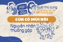 Vì sao cún cưng có mùi hôi khó chịu?