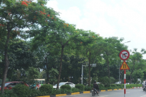 Vừa qua Lập Thu, nền nhiệt miền Bắc đã tăng nhẹ