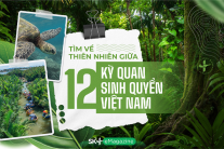 Tìm về thiên nhiên giữa 12 kỳ quan sinh quyển Việt Nam