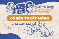 Có nên tự cắt móng cho cún cưng?