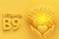 Mệt mỏi, hay quên có phải thiếu hụt vitamin B9?