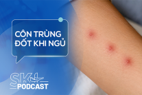 Podcast: Sai lầm cần tránh khi bị côn trùng lạ đốt khi ngủ