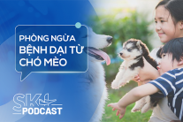 Podcast: Không chủ quan với bệnh dại từ chó, mèo nhà