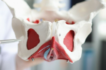 Sức khoẻ sàn chậu quan trọng như thế nào?