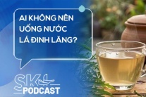 Podcast: Ai không nên uống nước lá đinh lăng?