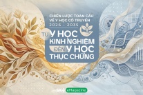 Chiến lược toàn cầu về y học cổ truyền 2026-2035: Từ y học kinh nghiệm đến y học thực chứng