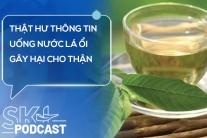 Podcast: Thật hư thông tin uống nước lá ổi gây hại cho thận