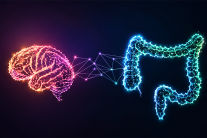 Vi khuẩn đường ruột có liên quan đến nguy cơ Alzheimer? 