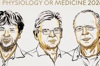 Nobel Y sinh 2026: Vinh danh 3 nhà khoa học dùng ánh sáng 'giải mã' não bộ