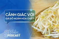Podcast: Giá đỗ ngâm hóa chất nguy hiểm thế nào?
