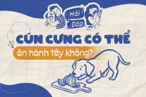 Cún cưng có thể ăn được hành tây không?