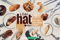 Loại hạt nào tốt cho sức khỏe nhất?