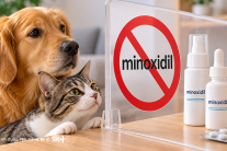 Cảnh báo nguy cơ ngộ độc ở chó, mèo khi tiếp xúc với minoxidil