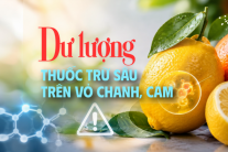 Nguy cơ từ dư lượng thuốc trừ sâu trên vỏ chanh, cam