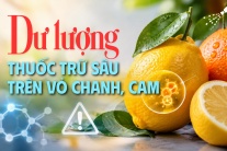 Nguy cơ từ dư lượng thuốc trừ sâu trên vỏ chanh, cam