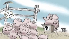 Video: 10 sự thật về bệnh cúm lợn (cúm A/H1N1)