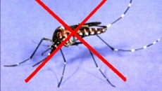 Châu Á - Thái Bình Dương: lập Liên minh chống bệnh sốt rét