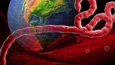 Nhiều dịch bệnh trên thế giới đang có diễn biến phức tạp