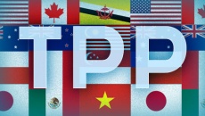 Hội nhập TPP: Doanh nghiệp TPCN Việt cần làm gì để nâng cao cạnh tranh?