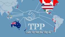 Hội nhập TPP: Ủy ban Codex phải hỗ trợ doanh nghiệp?