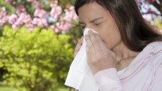 Cách tự nhiên kiểm soát dị ứng phấn hoa vào mùa Hè