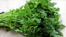 6 lợi ích sức khỏe của rau cải xoong