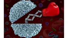 Delta-Immune - điều kỳ diệu cho sức khỏe