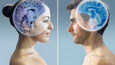 Nhịp sinh học của nam giới và nữ giới khác nhau thế nào?